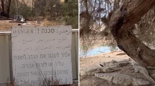 "פצצה מתקתקת"? כמעט 2000 תנינים "תקועים" בחווה בבקעה - צפו: