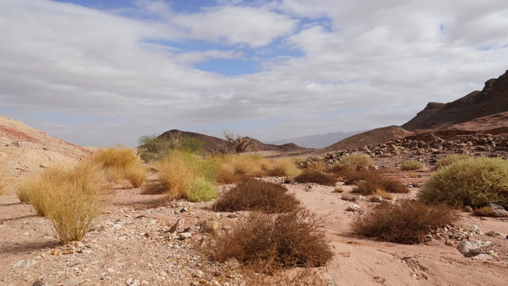התכוננו: השרב חוזר לביקור בסוף השבוע 