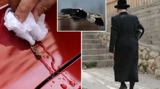 מה הייתה תגובת ראש הישיבה לאחר שהציפור עשתה עליו את צרכיה?