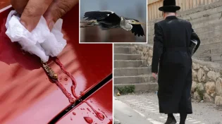 מה הייתה תגובת ראש הישיבה לאחר שהציפור עשתה עליו את צרכיה? 