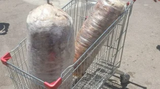 הנה לא ינום ולא יישן: בשר טרף התגלה במסעדה "כשרה למהדרין"
