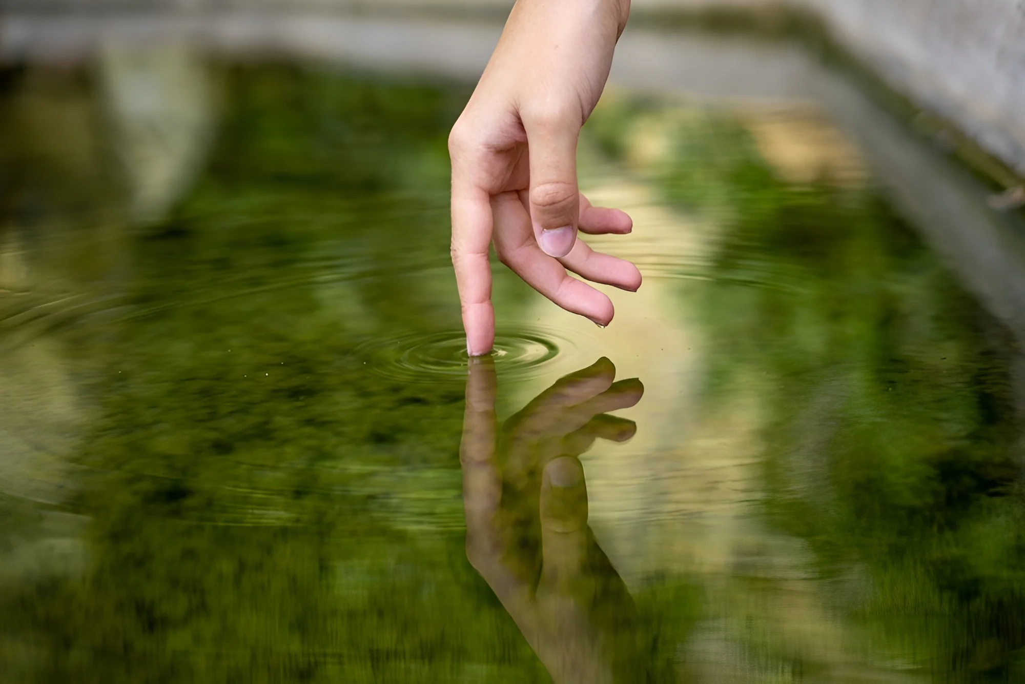 לפגוש את עצמך: גרסת הדייט הלא מוצלח