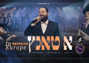 דוד פינק ותזמורתו עם שלוימי מייזלר - "א טאנץ און אירופה"