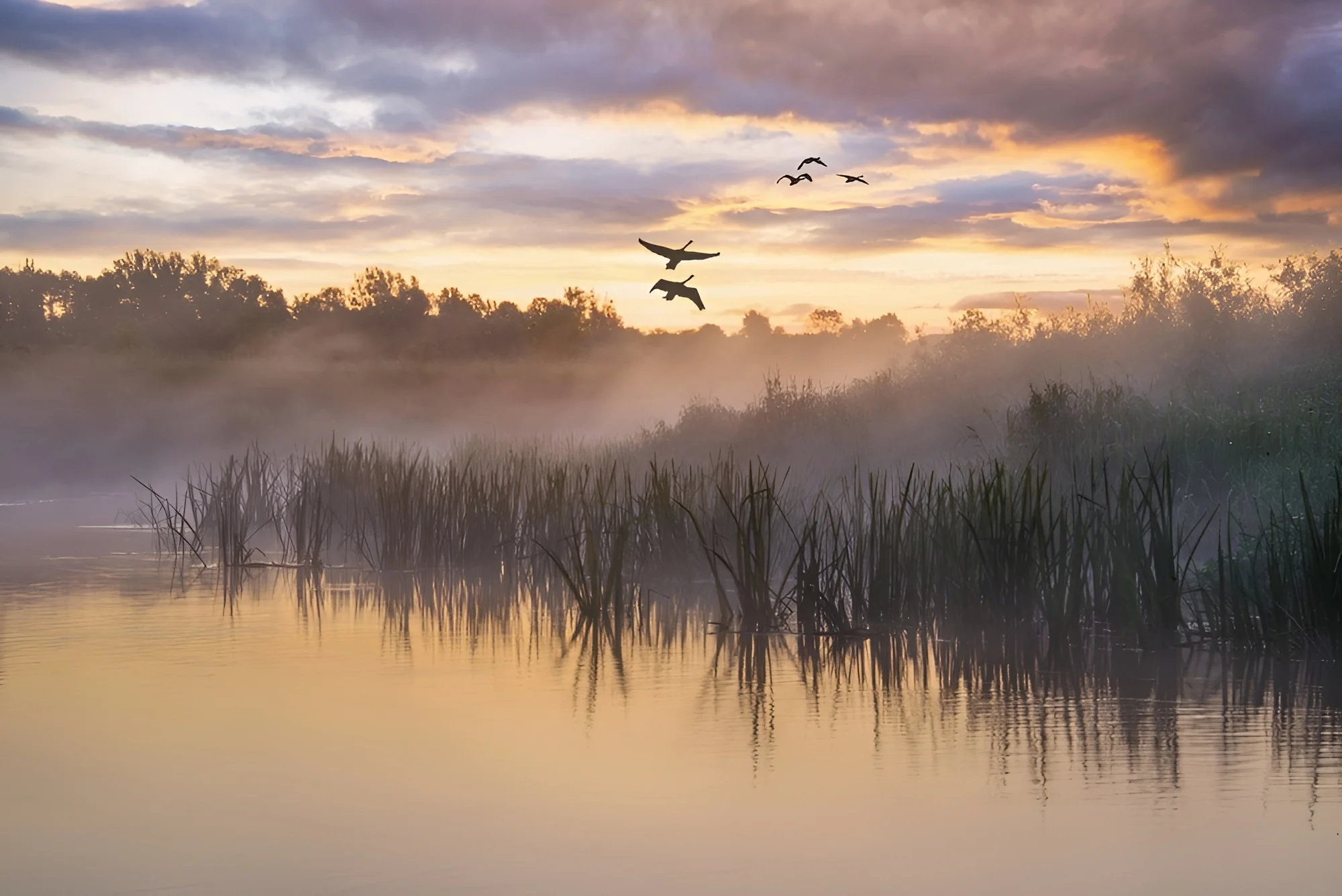 הידעת? 10 עובדות קצרות על חודש תמוז 