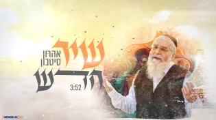 אהרון סיטבון - "שיר חדש"