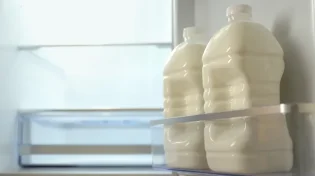 מאחסנים את החלב בדלת המקרר? המומחים מזהירים מההשלכות
