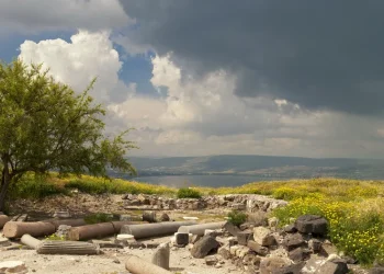 תחזית מזג האוויר השבוע: יציב וללא שינוי ניכר 