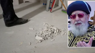 הראשל"צ חושף: כך מרן היה עוזר במטלות הבית וההיבט ההלכתי
