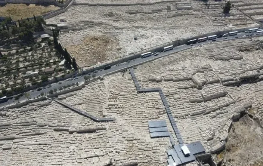 צפו: ההיערכות לקראת הילולת "אור החיים" צפו: ההיערכות לקראת הילולת "אור החיים"