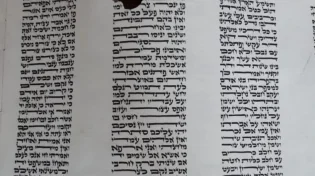 מזעזע: עכברים כירסמו ספר תורה בבני ברק