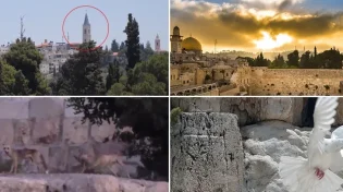 תופעות לא מוסברות שקורות בזמן האחרון בכותל המערבי 