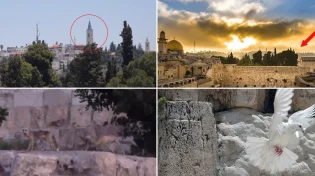 תופעות לא מוסברות שקורות בזמן האחרון בכותל המערבי