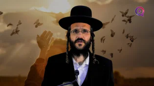הרב שמואל זיידנברג | הצרות הן מתנה העטופה בשקית אשפה