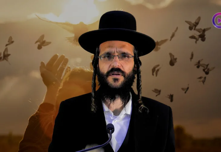הרב שמואל זיידנברג | הצרות הן מתנה העטופה בשקית אשפה