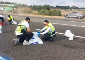 תאונת דרכים קשה בכביש 6: חבר הכנסת סייע בזירה 