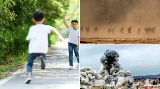 רק בגלל שלום. חזרה הביתה ואמרה לבעלה: "המלחמה התחילה"