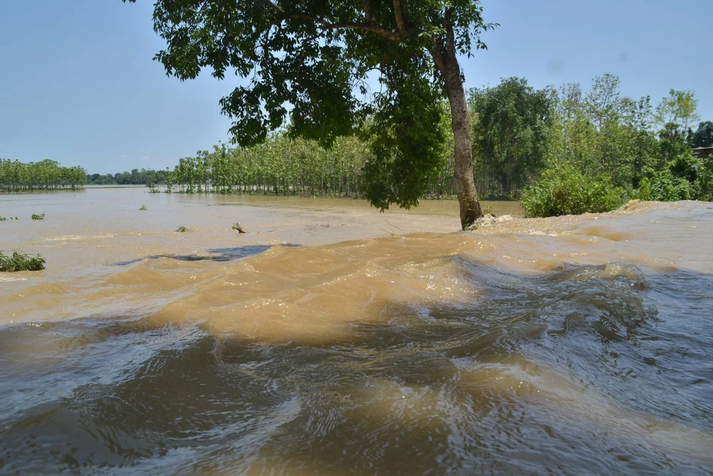 הודו: חשש לחיי ישראלים השוהים באזורי השיטפונות 