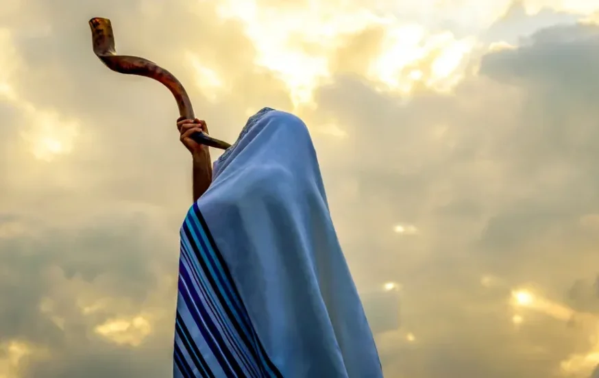 (צילום: John Theodor/shutterstock)