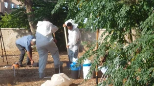 התפתחויות בפרשת ילדי תימן: קבר נוסף יפתח היום