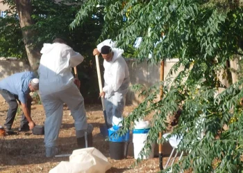 התפתחויות בפרשת ילדי תימן: קבר נוסף יפתח היום התפתחויות בפרשת ילדי תימן: קבר נוסף יפתח היום