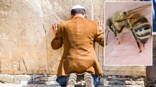 הבחור שמצא את עצמו תקוע בשידוכים עד שדבורה עקצה אותו