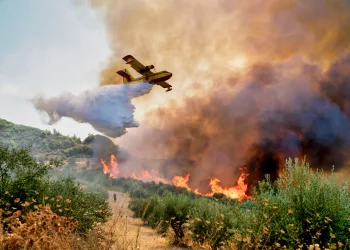 שריפות ענק משתוללות ביוון: ישראל תשגר משלחות חילוץ וסיוע