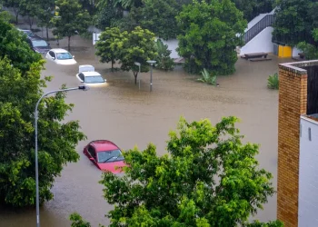 מדהים: הבינה המלאכותית תאפשר מודל לחיזוי שיטפונות בעולם