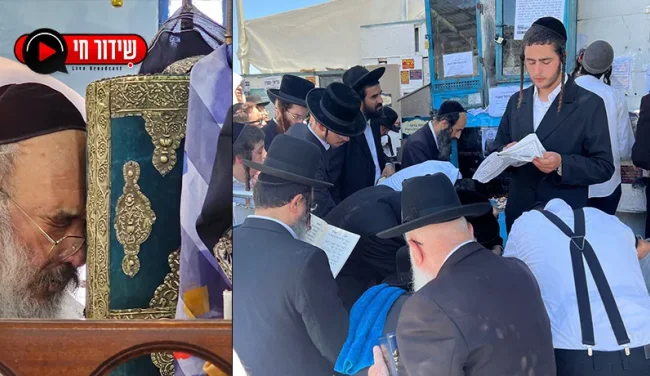 "יום גדול עבור המקובלים": הילולת האר"י הקדוש | שידור חי