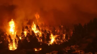 רודוס: עשרות אלפי תושבים פונו מבתיהם בעקבות שריפות הענק 