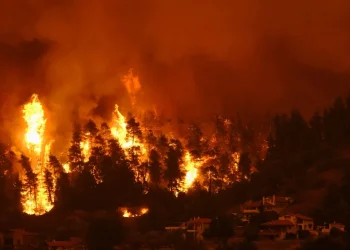 רודוס: עשרות אלפי תושבים פונו מבתיהם בעקבות שריפות הענק 