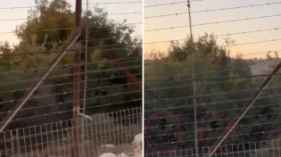 תיעוד מטריד: אנשי חיזבאללה בסיור על גבול ישראל