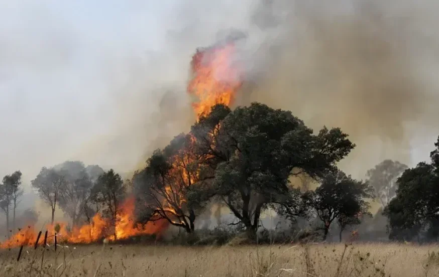 שרפה פרצה בכביש 1, המשטרה סגרה את הדרכים שרפה פרצה בכביש 1, המשטרה סגרה את הדרכים