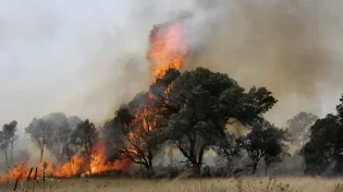 שרפה פרצה בכביש 1, המשטרה סגרה את הדרכים