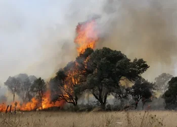 שרפה פרצה בכביש 1, המשטרה סגרה את הדרכים