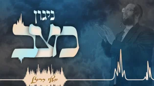 יואלי בריזל - "ניגון מצב"