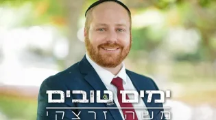 משה זרצקי - "ימים טובים"