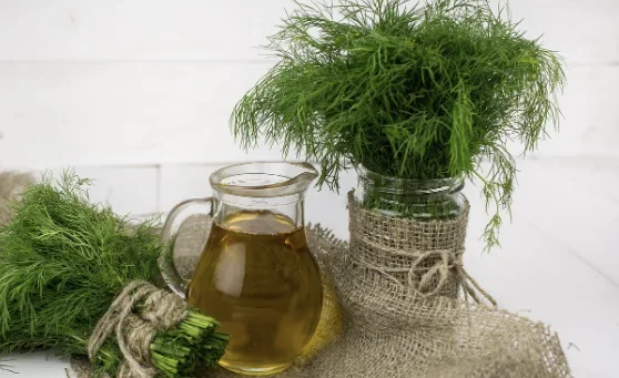 תתכוננו, הירק הזה הולך לעשות נפלאות בגופכם תתכוננו, הירק הזה הולך לעשות נפלאות בגופכם