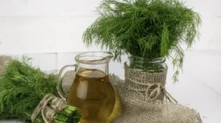 תתכוננו, הירק הזה הולך לעשות נפלאות בגופכם
