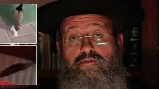 מכת עכברים באזור גוש דן: הרב חושף את הסיבה לתופעה