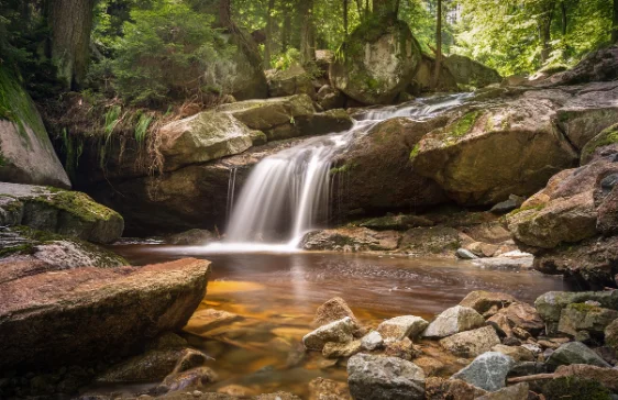 אישה מתה משתיית מי אגם במהלך טיול. זו הסיבה 