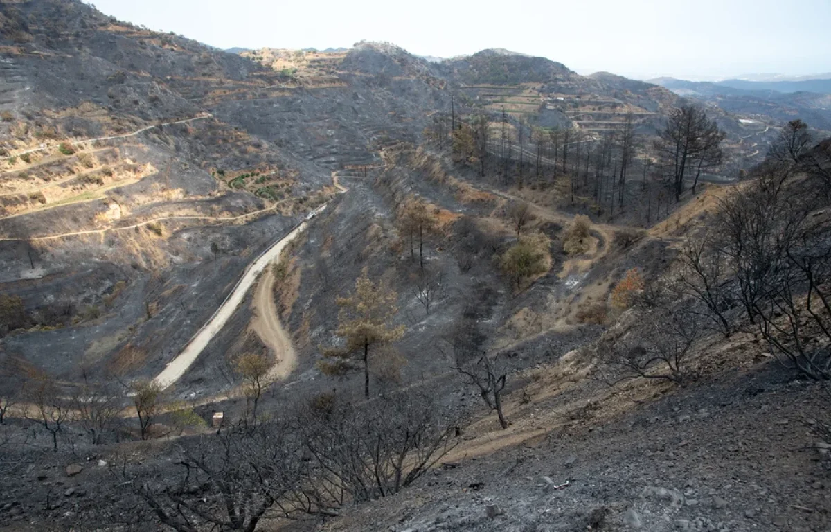 "כנפי אש": משלחת מישראל תצא לסייע בכיבוי השריפות בקפריסין