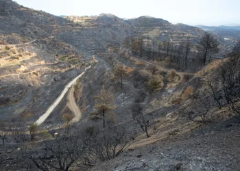 "כנפי אש": משלחת מישראל תצא לסייע בכיבוי השריפות בקפריסין