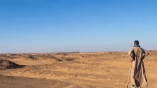 "יכולנו למות": בדואים ארבו ליהודים שטיילו בנגב, ותקפו 