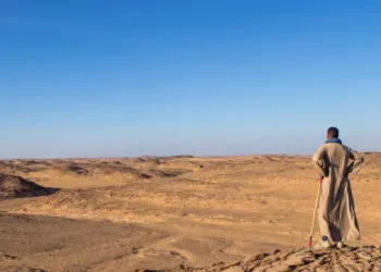 "יכולנו למות": בדואים ארבו ליהודים שטיילו בנגב, ותקפו 