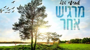 אבישי אשל - "מרגיש אחר"