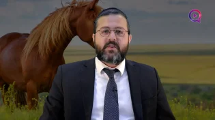 הרב שמואל ממן | אין סוסים שמדברים עברית