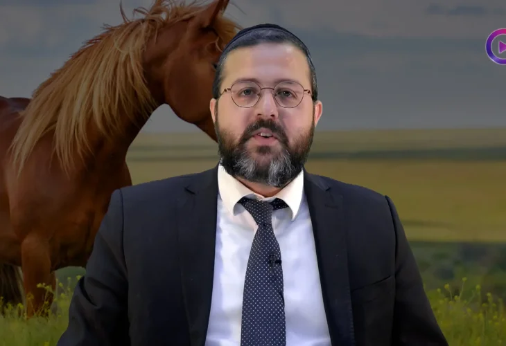 הרב שמואל ממן | אין סוסים שמדברים עברית