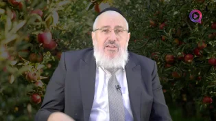 הרב ציון כהן | פרשת ראה לכל דבר יש טעם טוב