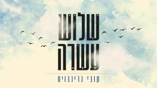 קובי גרינבוים - "שלוש עשרה"