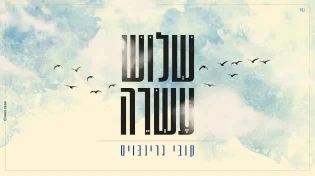 קובי גרינבוים - "שלוש עשרה"